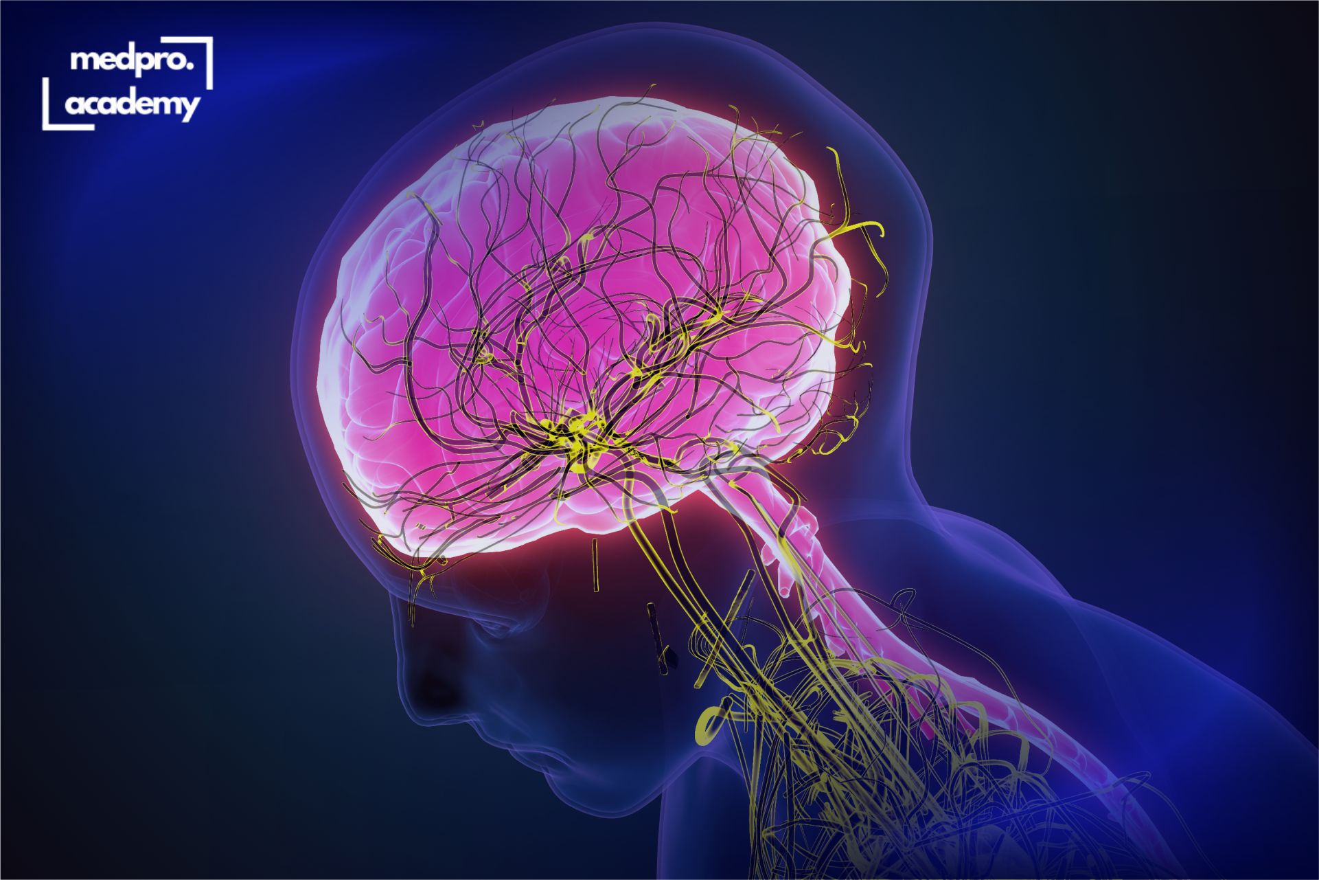 2Енцефаліти різноманіття етіологічних агентів, клінічних масок та терапевтичних мішеней